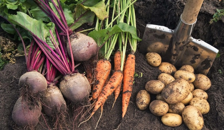 ԼՂ-ում վերանայվել են միրգ-բանջարեղենի մանրածախ իրացման ամենաբարձր թույլատրելի գները