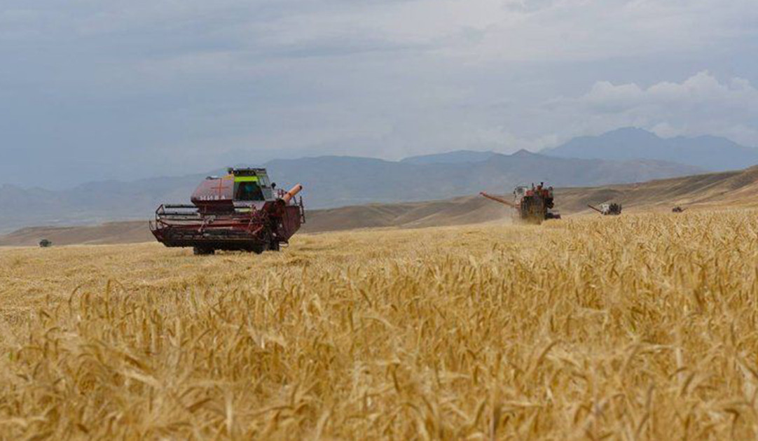 ВС Азербайджана открыли огонь по комбайну, работавшему на полях Сарушена: МО Нагорного Карабаха