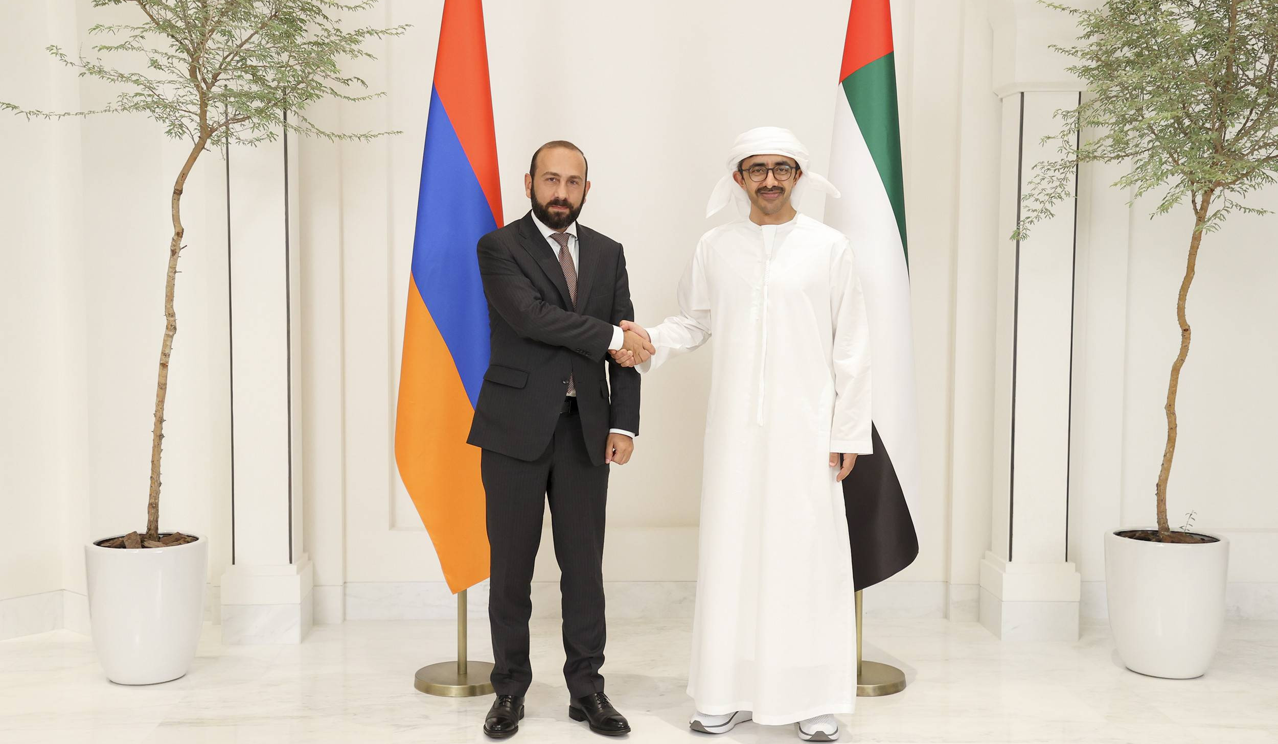 Главы МИД Армении и ОАЭ обменялись мнениями по вопросам регионального и международного значения