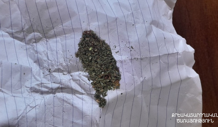 Կալանավորված անձը զբոսահրապարակում ենթարկվել է խուզարկության․ հայտնաբերվել են արգելված իրեր