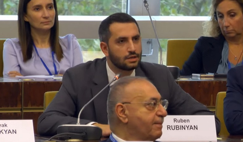 Азербайджан имел четкую цель этнической чистки в Нагорном Карабахе и реализовал эту цель: Рубинян