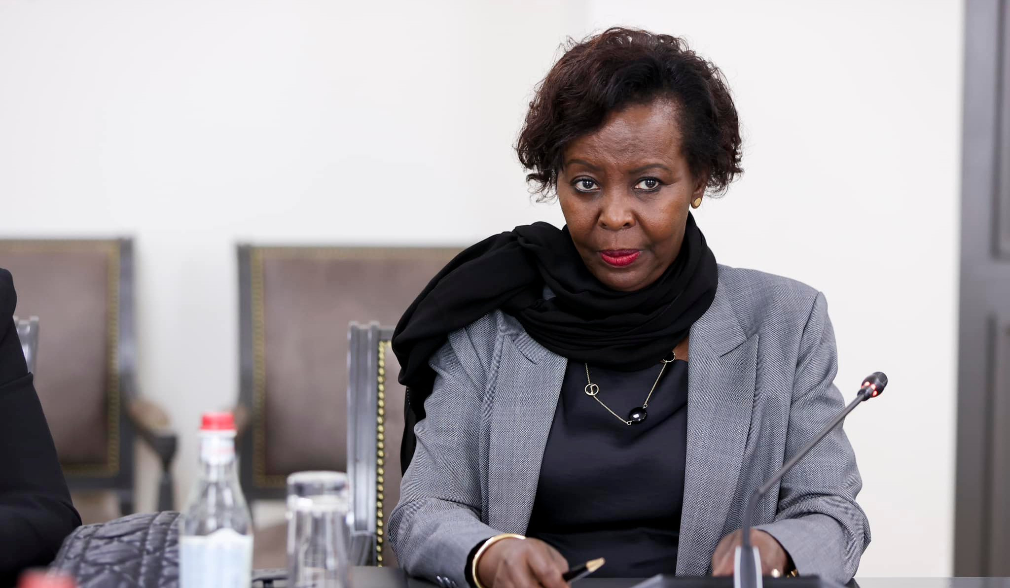 Biz erməni xalqına, Ermənistana həmrəyliyimizi göstərməyə gəlmişik: Muşikivabo