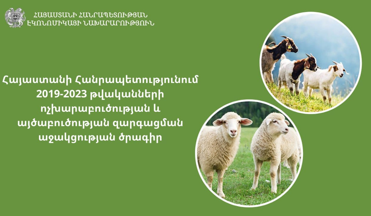 Էկոնոմիկայի նախարարությունն իրականացնում է ոչխարաբուծության և այծաբուծության զարգացման աջակցության ծրագիրը