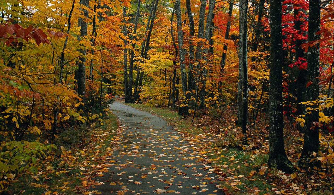 Օդի ջերմաստիճանը նոյեմբերի 3-ի ցերեկը կնվազի 3-4 աստիճանով