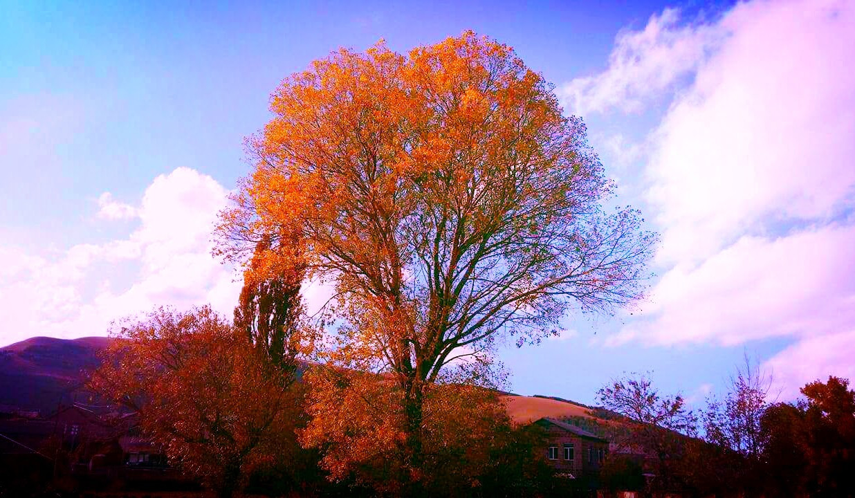 Հանրապետությունում օդի ջերմաստիճանն էապես չի փոխվի