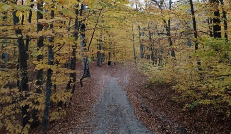 Նոյեմբերի 7-11-ը սպասվում է առանց տեղումների եղանակ. օդի ջերմաստիճանը կնվազի 4-6 աստիճանով