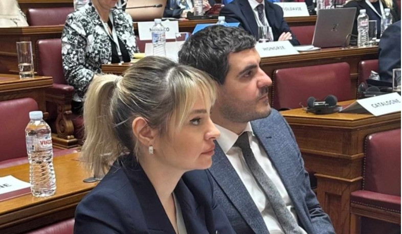 Եվրոպական պետությունները չեն կարող անտեսել հակամարտությունը, որը վաղ թե ուշ կազդի ժողովրդավարական և մշակութային արժեքների պահպանման վրա. Սոնա Ղազարյան