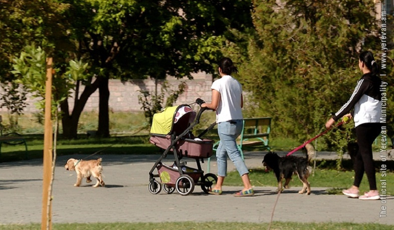 Երևանի քաղաքապետին զեկուցվեց` ինչ է արվել շների զբոսայգիներ ստեղծելու ուղղությամբ