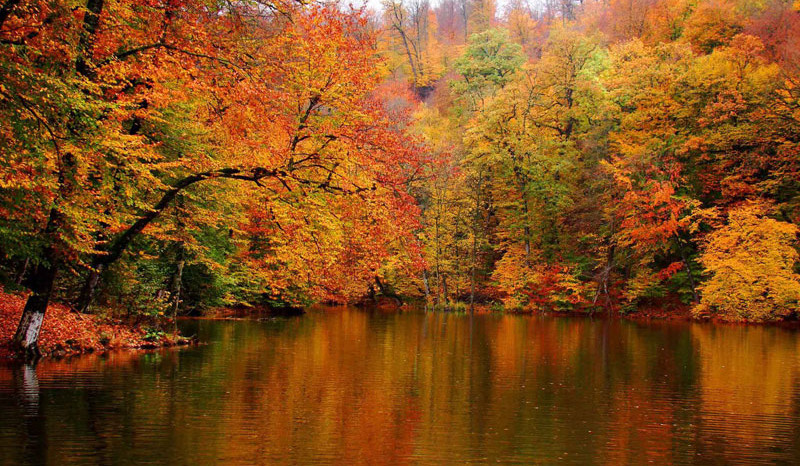 Սպասվում է անոմալ տաք և բավարար տեղումներով դեկտեմբեր