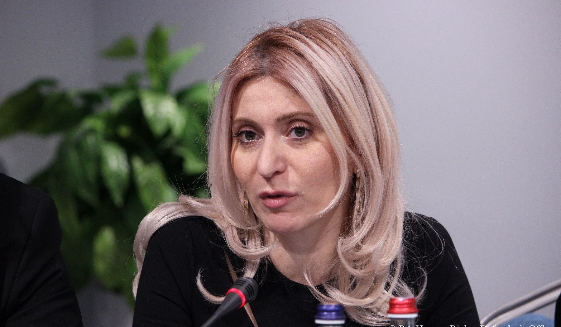 Մտահոգիչ է ազգային փոքրամասնությունների լեզուներ դասավանդող ուսուցիչների՝ բարձրագույն կրթություն չունենալու փաստը. Արաքսիա Սվաջյան