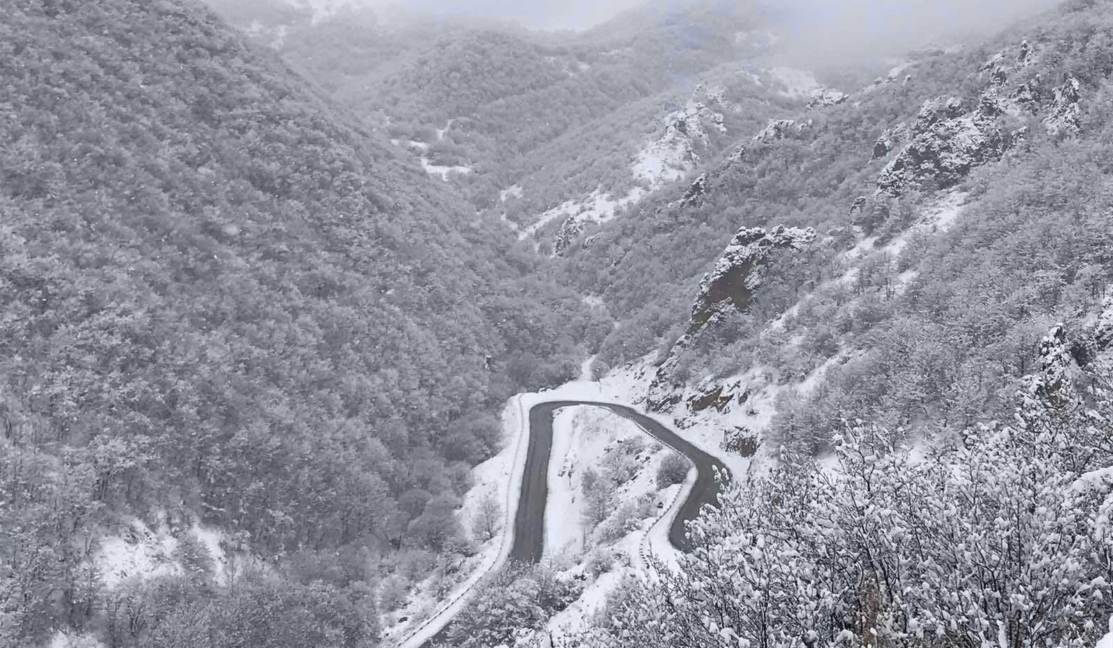 Դիլիջանի ոլորաններում մառախուղ է, տեսանելիությունը՝ 100-150 մետր