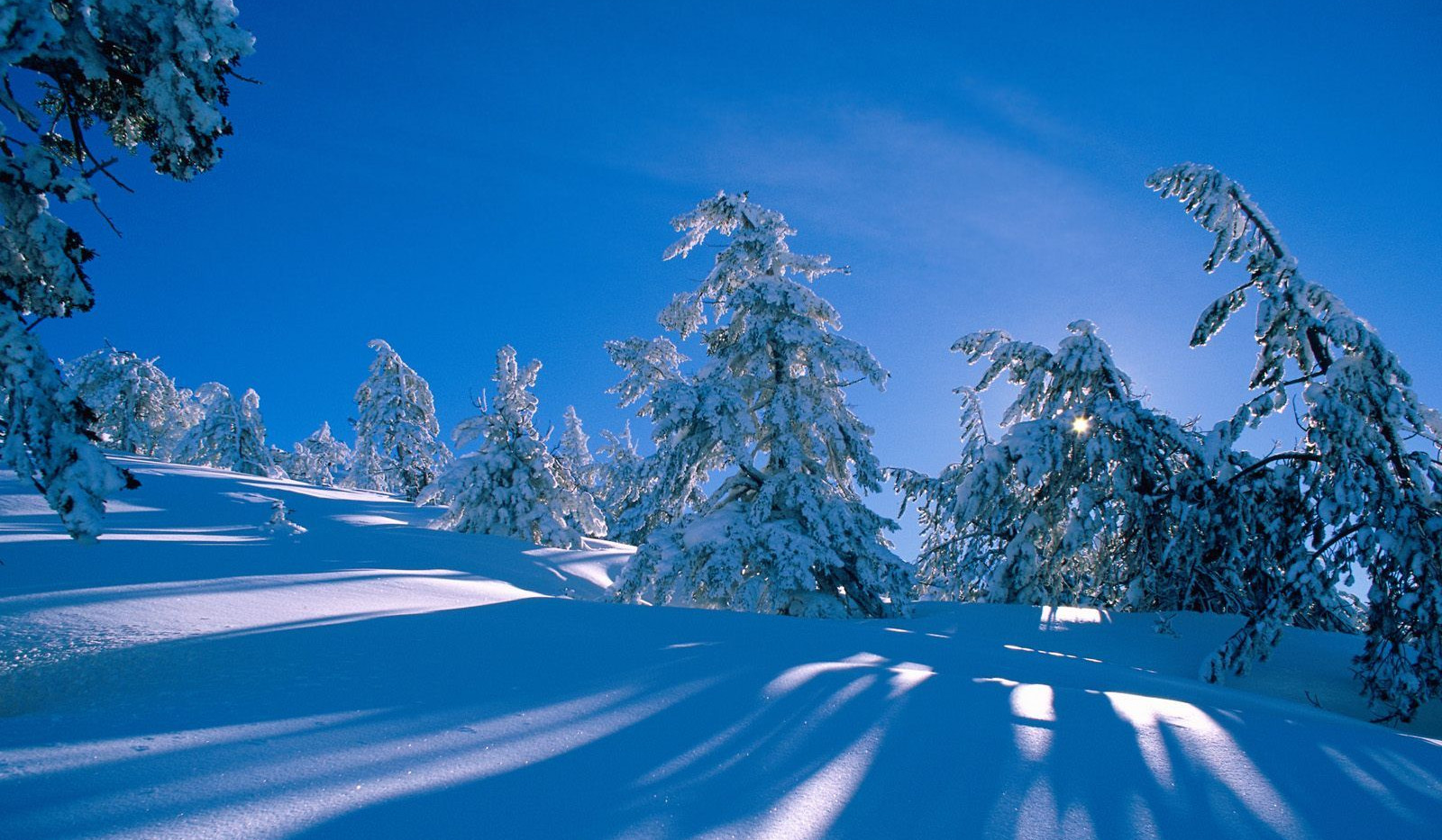 Оդի ջերմաստիճանը դեկտեմբերի 25-26-ի ցերեկը կբարձրանա 4-6 աստիճանով