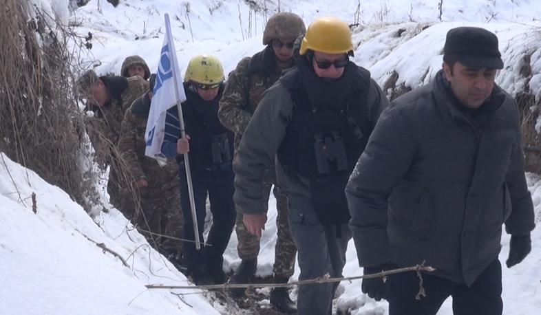 ОБСЕ проведет мониторинг в Талыше