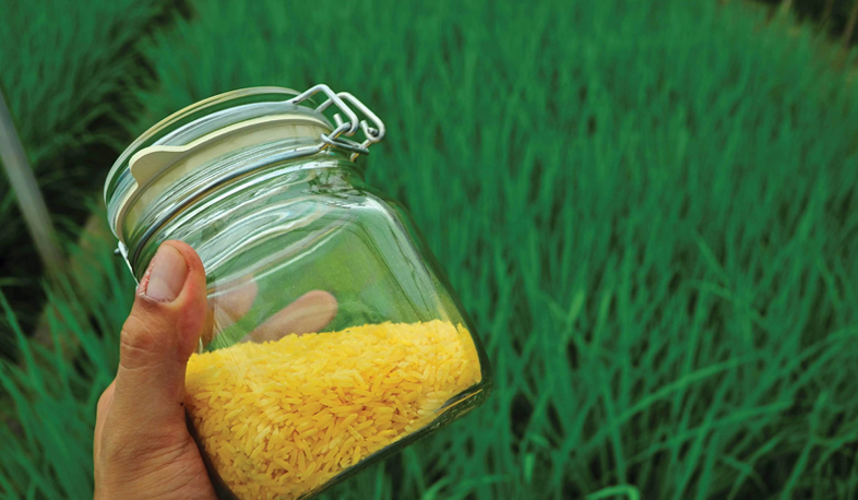 Այլ գեներով սննդի օրինականացման հարցը ԱԺ-ում