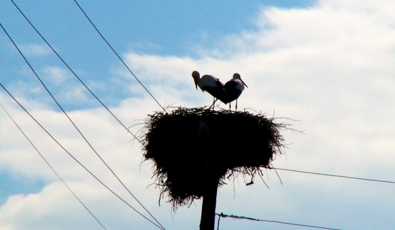 700 тысяч человек были обеспечены питьевой водой