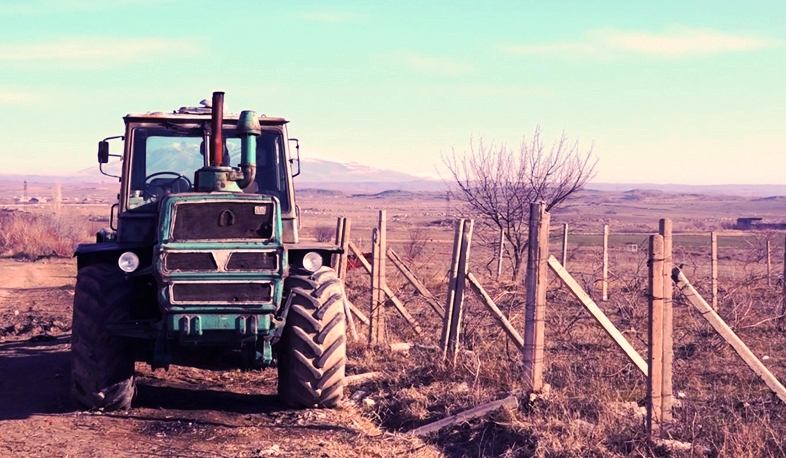 Տաք եղանակն այգեգործներին դաշտ է հանել