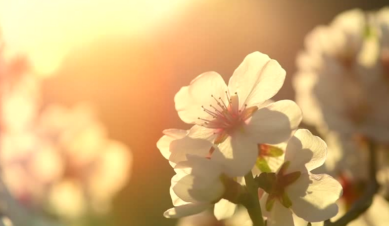 Температура воздуха повысится