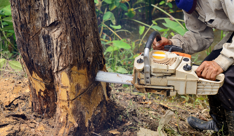 1.5  միլիարդ դրամի վնաս բնությանը