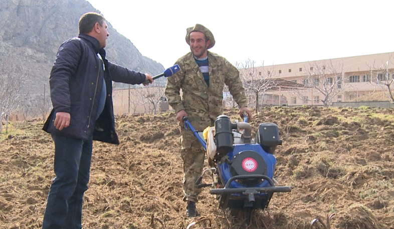 В Мегри будет заложен интенсивный сад площадью в 50 гектаров