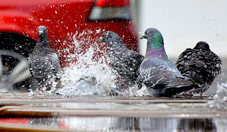 Փետրվարի 18-ից տեղումներ կլինեն