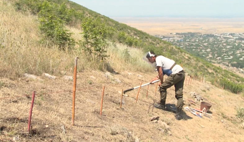 Արցախում ականազերծման վերջն արդեն երևում է