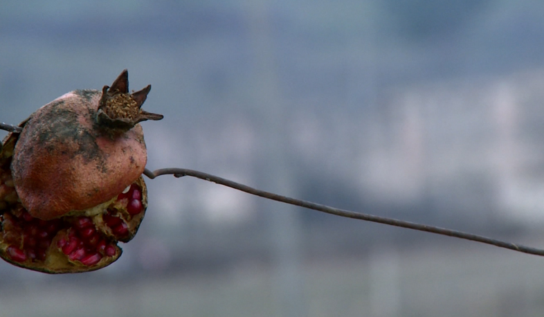 Արցախ. ջուրը մոտենում է հողին