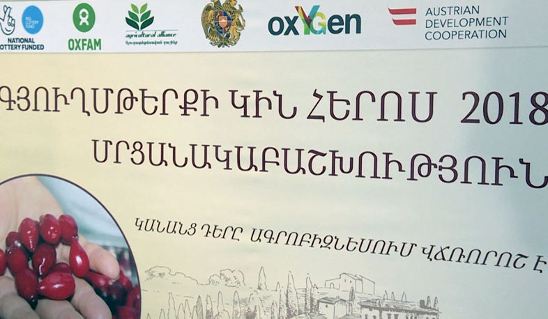 Բուսաբուծությունից մինչև գյուղտեխնիկա՝ «ղեկին» կանայք են