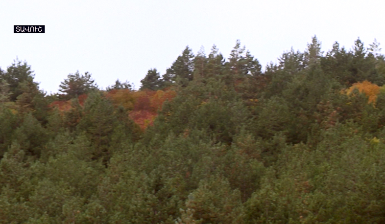 В Тавуше и Лори прекратились исследования экологии