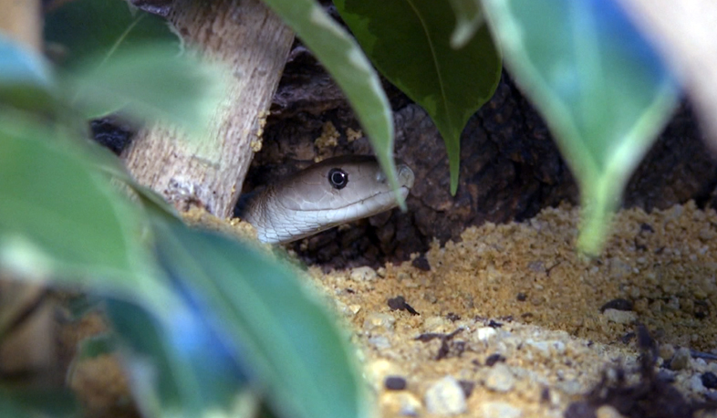 Наука: 3 конкурса, 39 победных идей