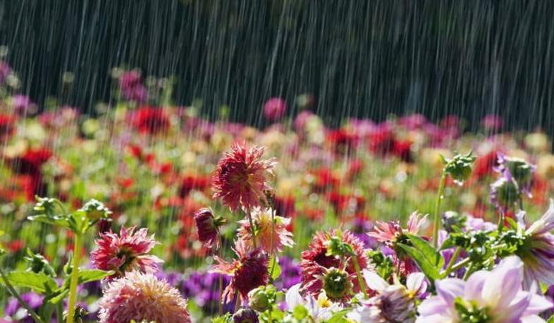 Холодные потоки воздуха с Черного моря