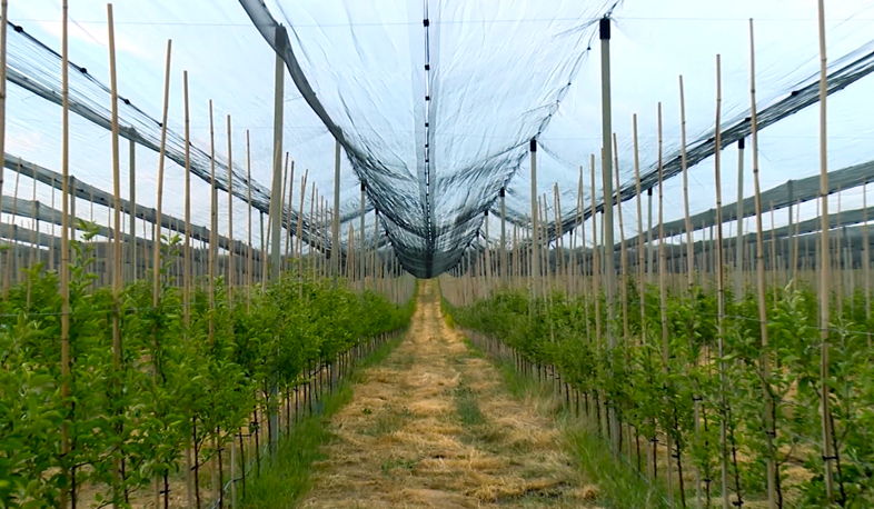 Վարկեր՝ նոր ջրագծերի ու ոռոգման համակարգի բարելավման համար