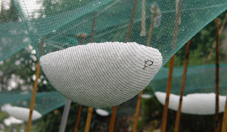 Завод по производству противоградовых сетей заработает до конца года