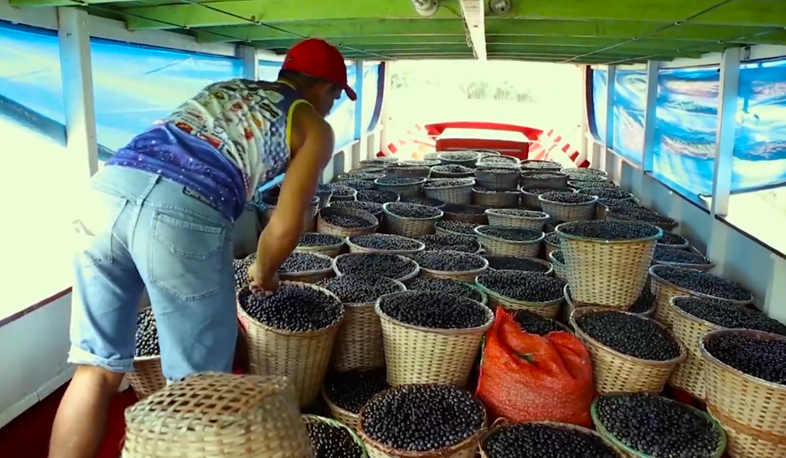 Бразильские бизнесмены впервые прибыли в Армению