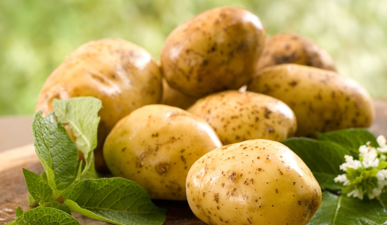 Գեղարքունիքում կարտոֆիլ կա, գնորդ չկա