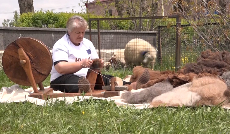 Wool production opens new workplaces in Goris