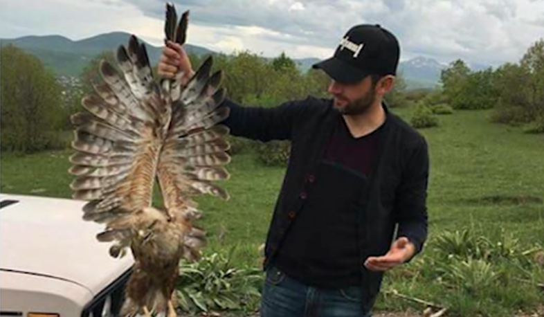 Buzzard hunter explains