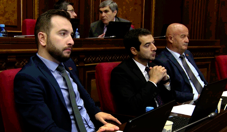 Parliament elects Constitutional Court member