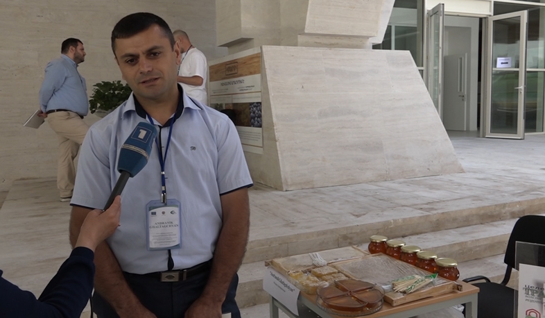 Международные инвестиции в Дилиджане