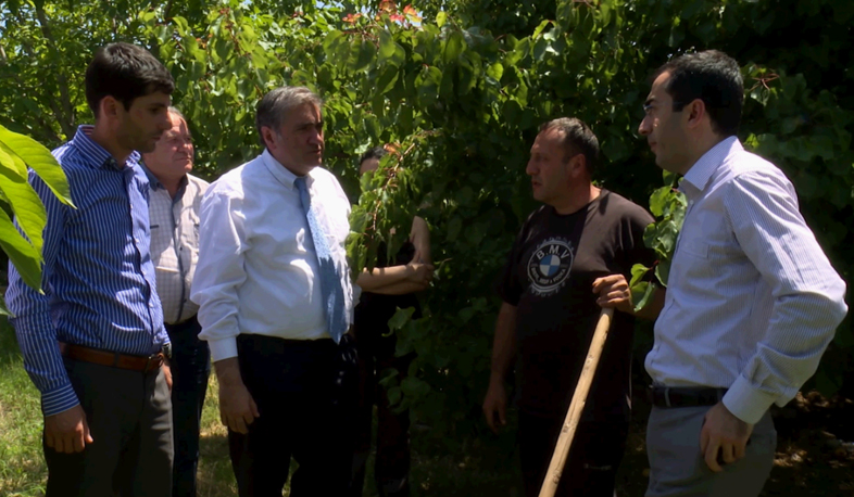 Առատ բերք, մթերման վարկեր, գյուղացի-վերամշակող պայմանագրեր