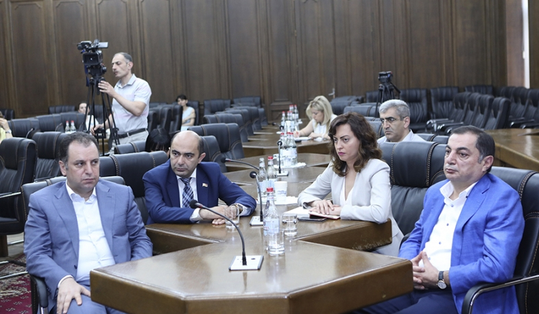 Electoral reform working group meets