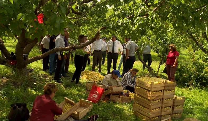 Новости Араратской области: последствия града