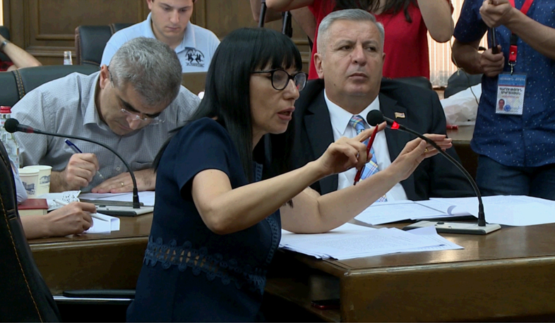 Քննարկում ԱԺ-ում՝ ԸՕ փոփոխությունների շուրջ