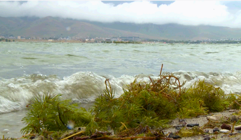 Причины роста количества водорослей в озере Севан