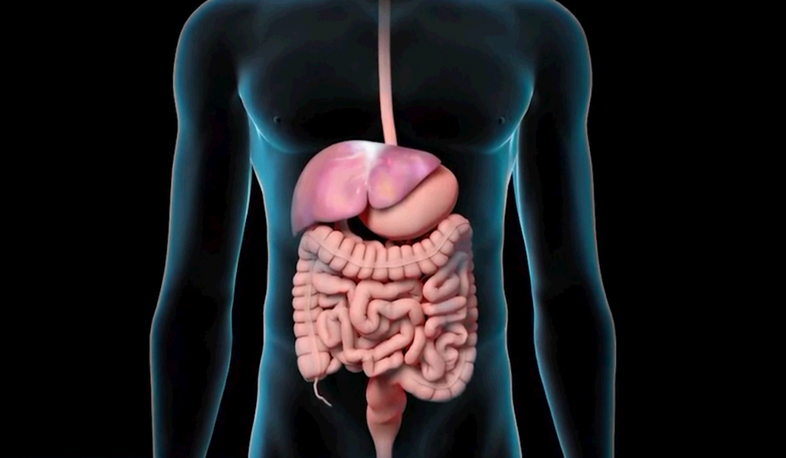 Հեպատիտ. քայլում ենք աշխարհին համընթաց