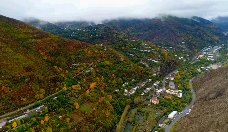 Government discusses forest control