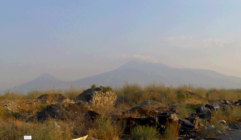 Նորագավիթի ոչնչացված անտառը. բնակիչները բողոքում են