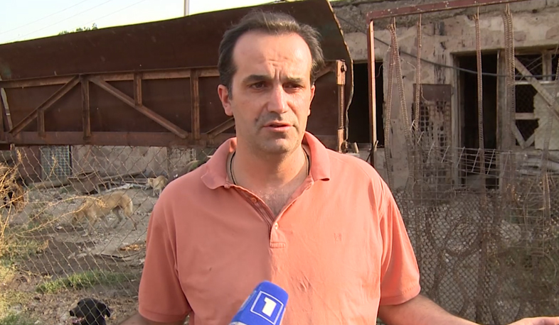 «Ռեֆորմիստները» թափառող շներին օգնությունը չեն ուշացնի