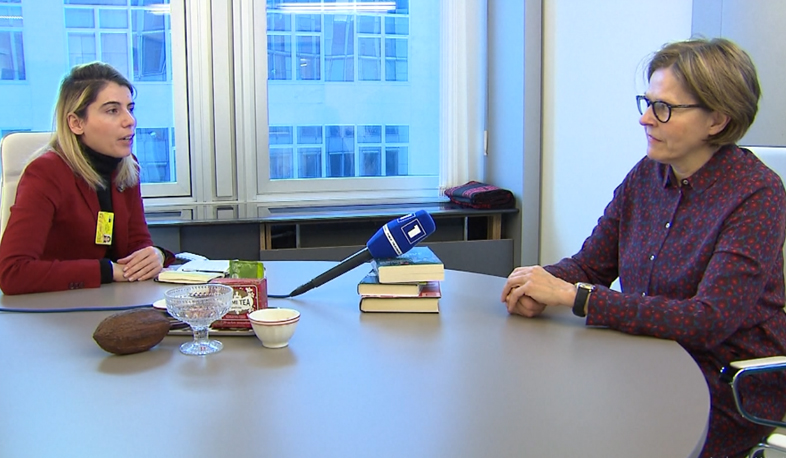 Արտահերթ ընտրություններին կհետևեն ԵԽ պատգամավորները