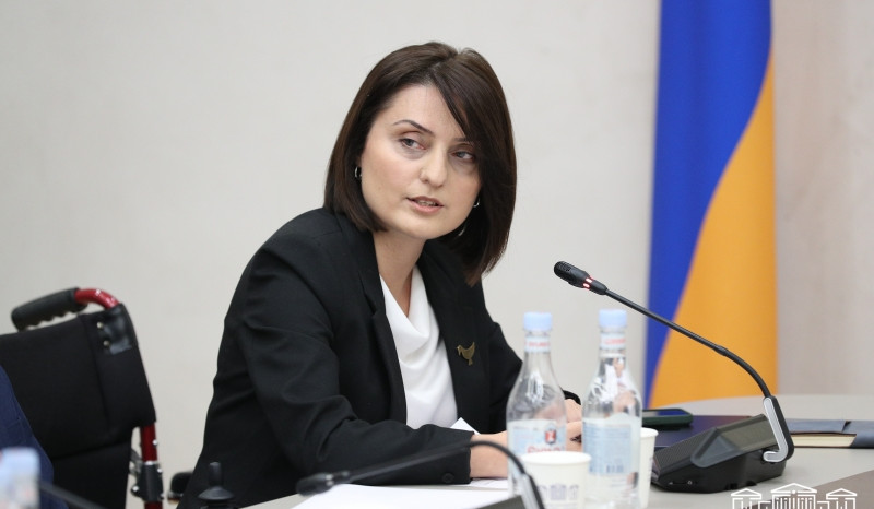 Բռնության անձ կդիտարկվի նաև երեխան, որն ընտանիքում բռնության ականատես է եղել. նախագիծ