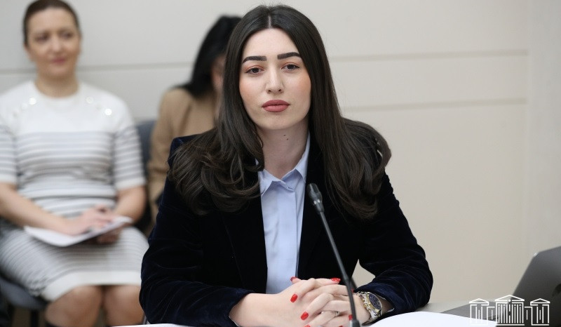 ՆԳՆ-ն առաջարկում է ՃԵԿ խախտումներով նախատեսել բոնուսային համակարգ, պարզեցնել վարչարարությունը և թեթևացնել վարչական դատարանների ծանրաբեռնվածությունը